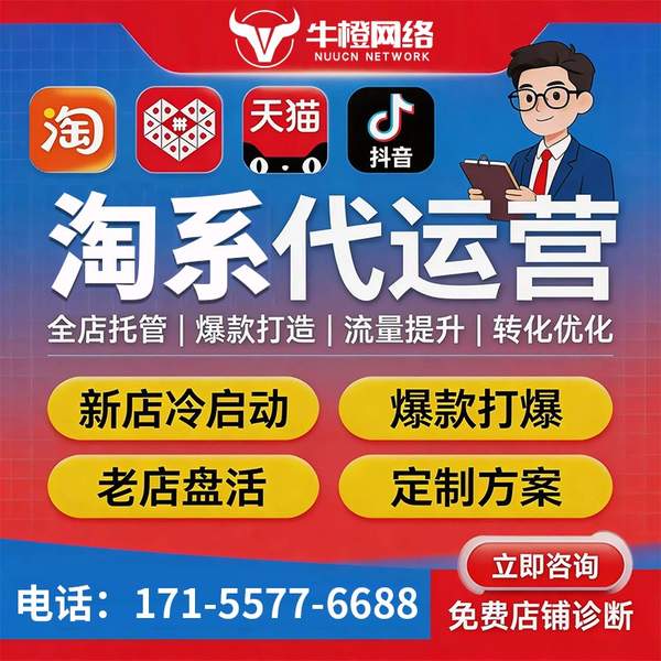 湛江电商代运营