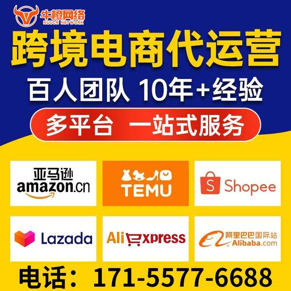 湛江电商代运营