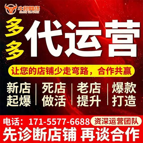 湛江电商代运营