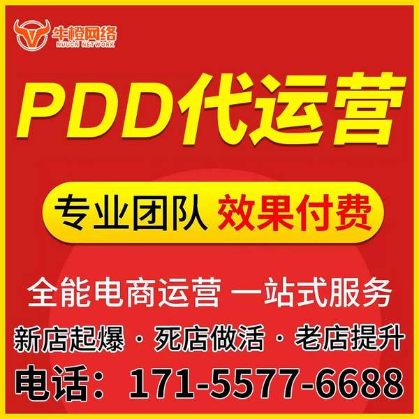 湛江电商代运营