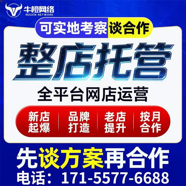 湛江电商代运营