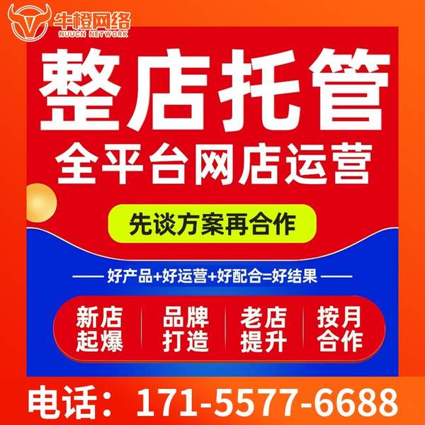 湛江电商代运营