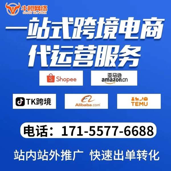 湛江电商代运营