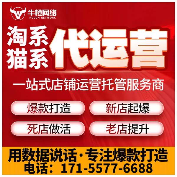 湛江电商代运营
